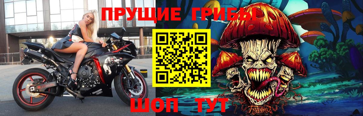 Галлюциногенные грибы ЛСД  Вход с VPN  Псилоцибиновые грибы мухоморы  Тамбов 