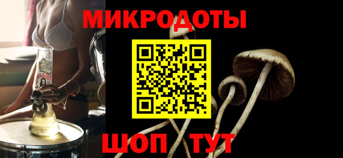 Псилоцибиновые грибы мухоморы Тамбов